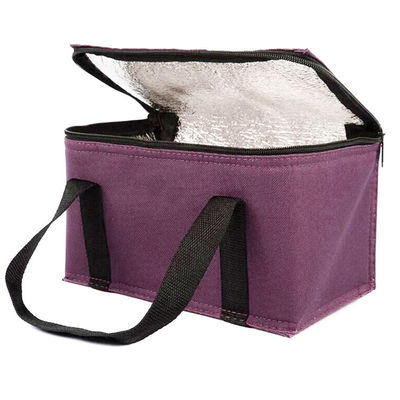 OEM Impressão personalizada Bolsa de arrefecimento de isolamento macio 21 * 13 * 14 Cm Com capacidade de 4L 16L 32L
